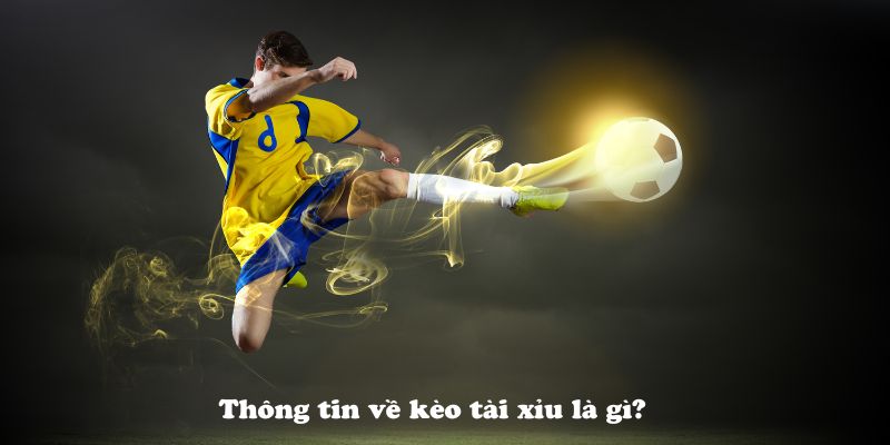 Thông tin về kèo tài xỉu cho người mới tìm hiểu